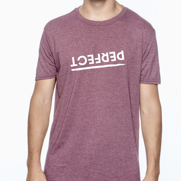 ADULT Unisex PERFECT TEE (NEW COLORS)