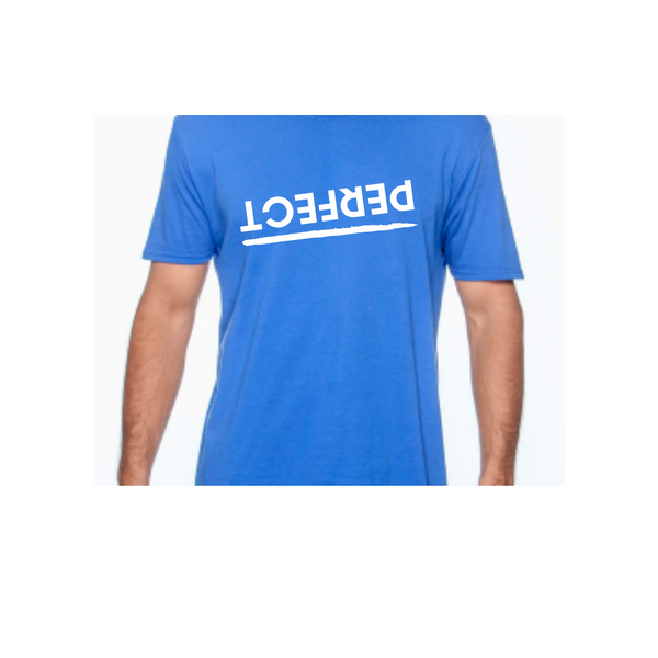 ADULT Unisex PERFECT TEE (NEW COLORS)