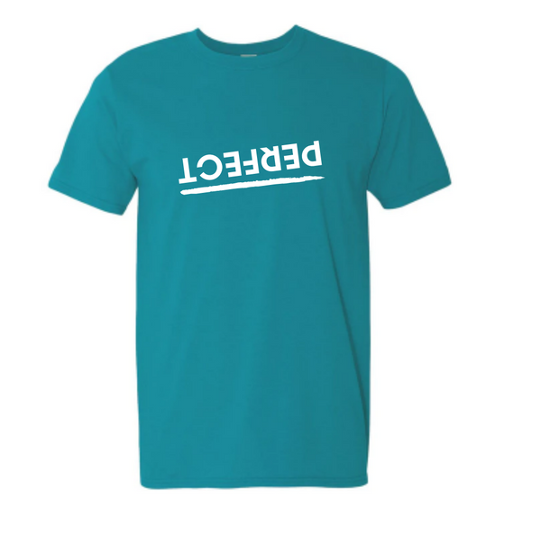 ADULT Unisex PERFECT TEE (NEW COLORS)