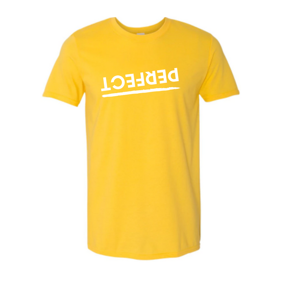 ADULT Unisex PERFECT TEE (NEW COLORS)