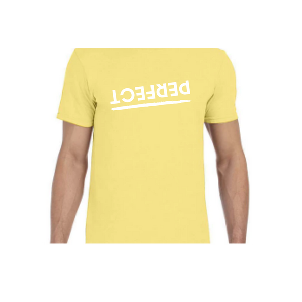 ADULT Unisex PERFECT TEE (NEW COLORS)